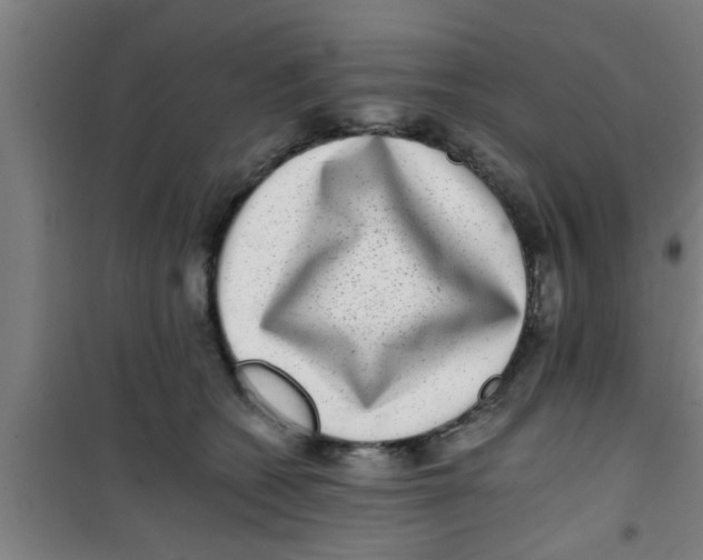 X0000100400562200807032016