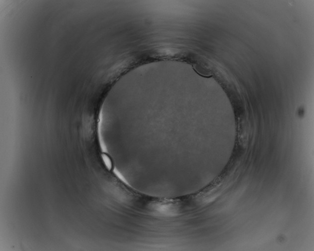 X0000100400563200807032016