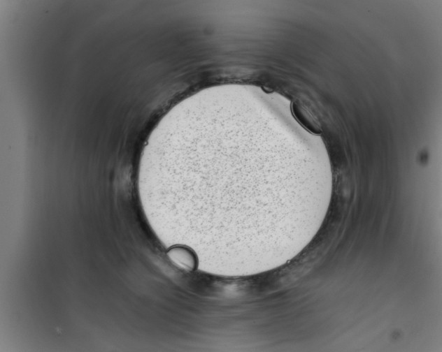 X0000100400564200807032016