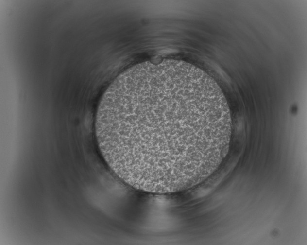 X0000100400565200807032016
