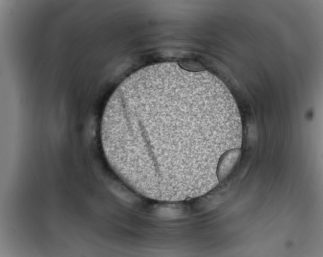 X0000100400567200807032016