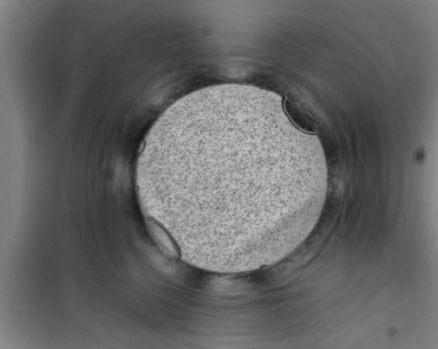 X0000100400568200807032016
