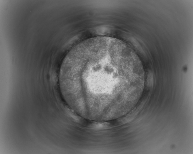 X0000100400569200807032016