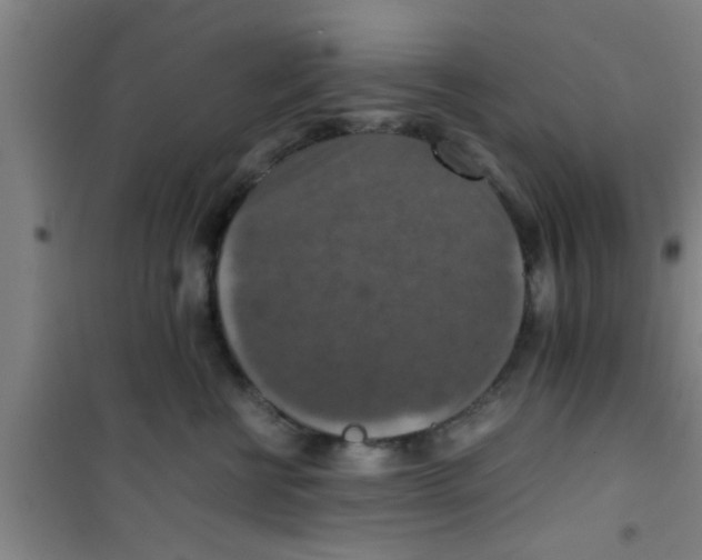 X0000100400570200807032016
