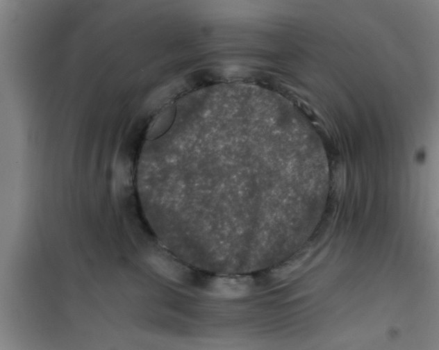 X0000100400571200807032016