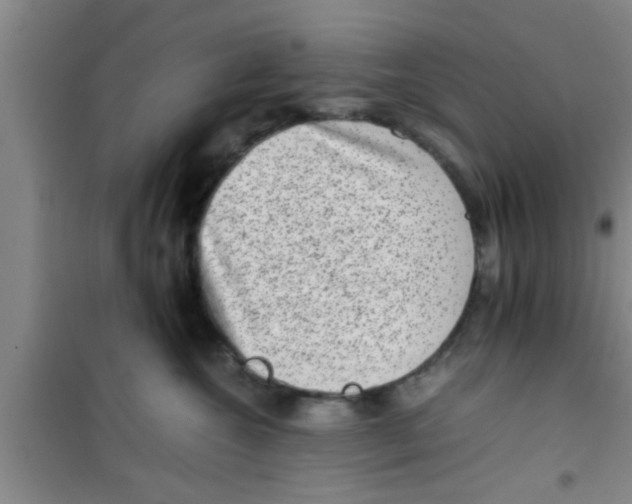 X0000100400572200807032016