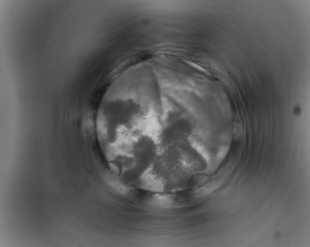 X0000100400573200807032016