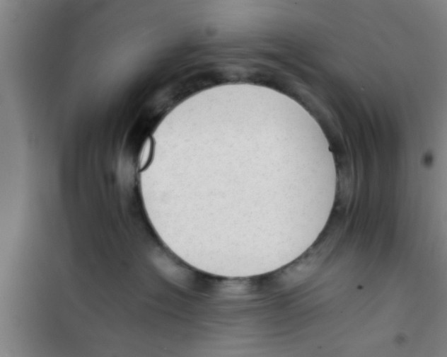 X0000100400574200807032016