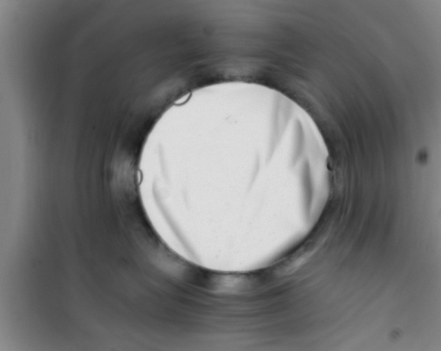 X0000100400575200807032016