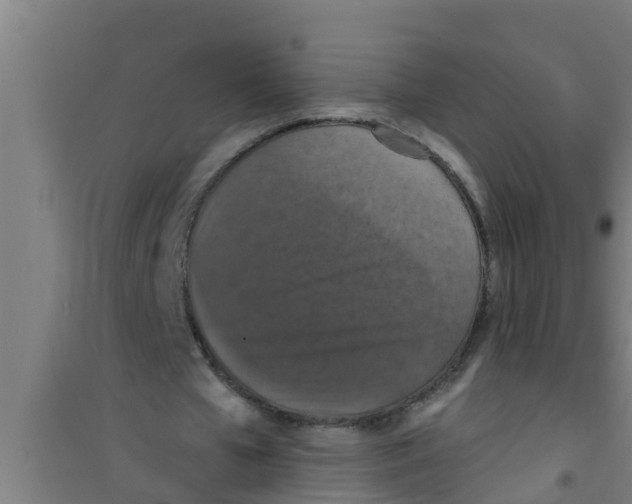 X0000100400577200807032016