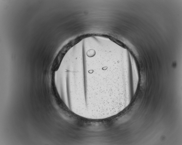 X0000100400580200807032016