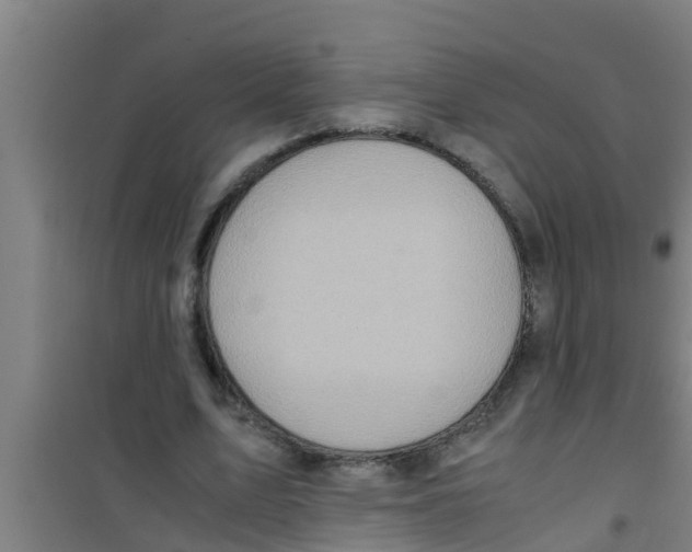 X0000100400583200807032016
