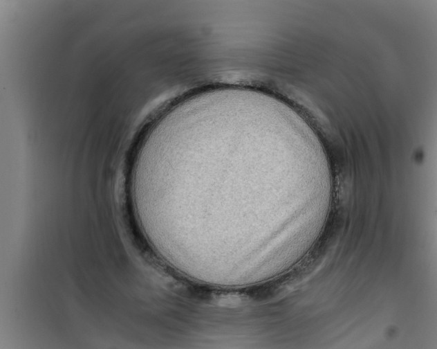 X0000100400587200807032016