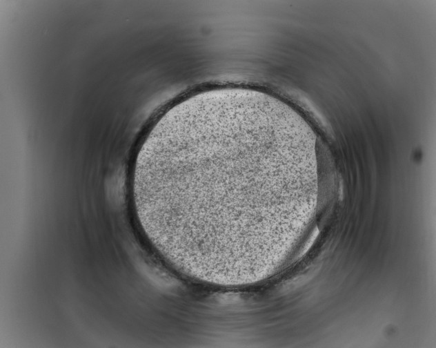 X0000100400588200807032016