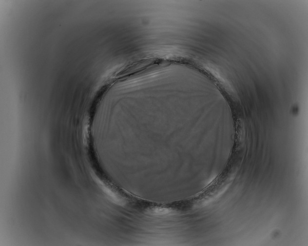 X0000100400590200807032016