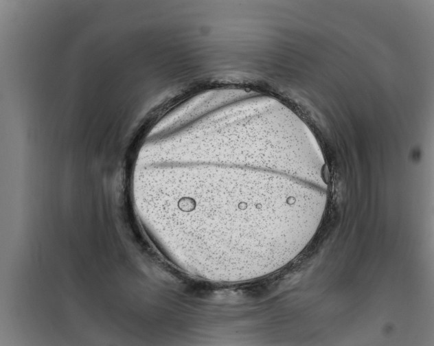 X0000100400591200807032016