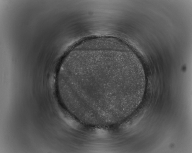 X0000100400592200807032016