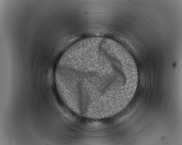 X0000100400594200807032016