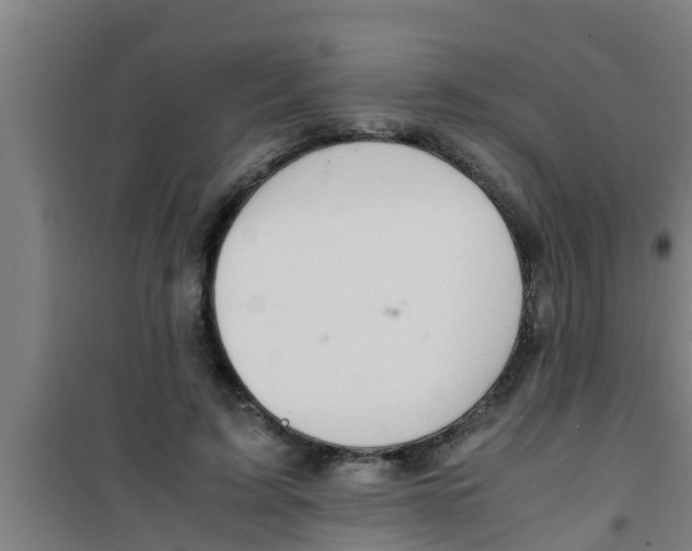 X0000100400595200807032015
