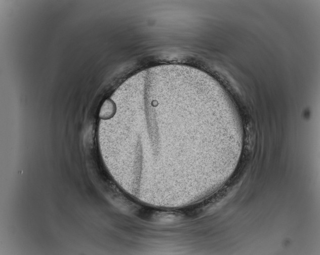 X0000100400597200807032015