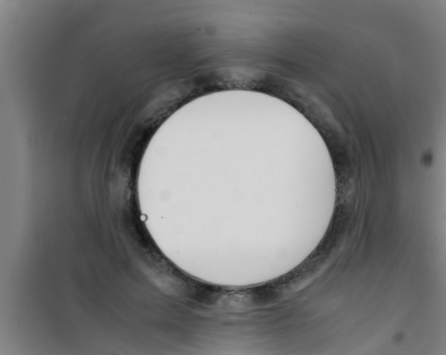 X0000100400599200807032015