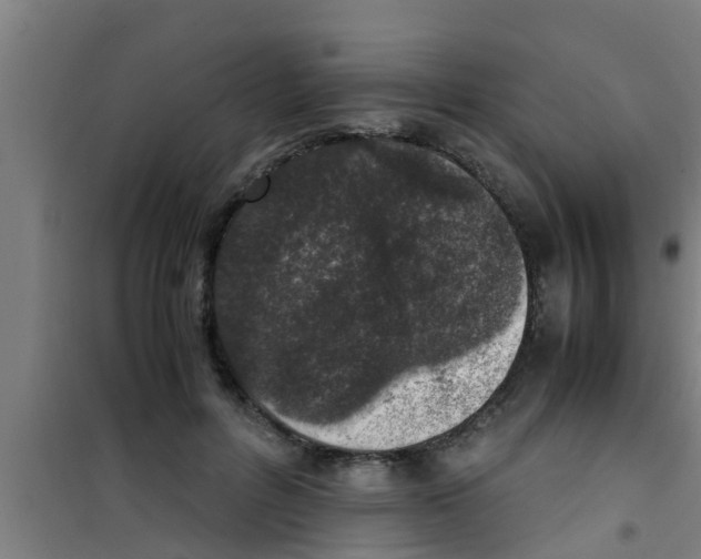 X0000100400600200807032015