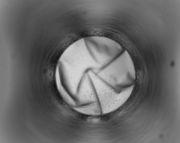 X0000100400602200807032015