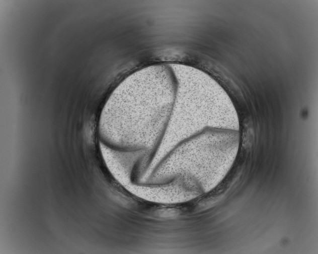 X0000100400604200807032015