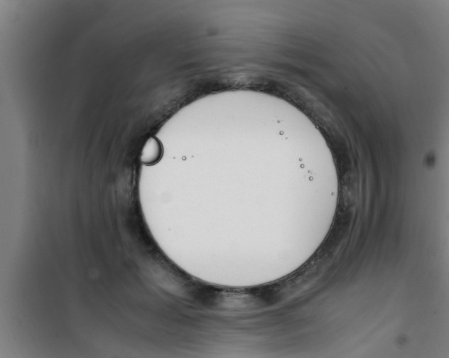 X0000100400605200807032015