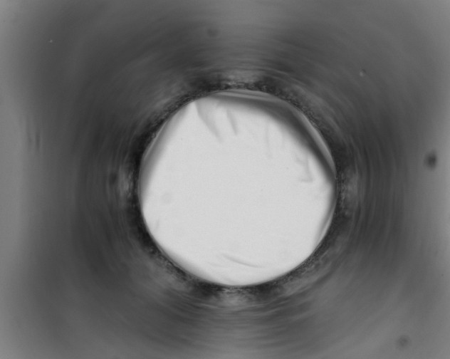 X0000100400608200807032015