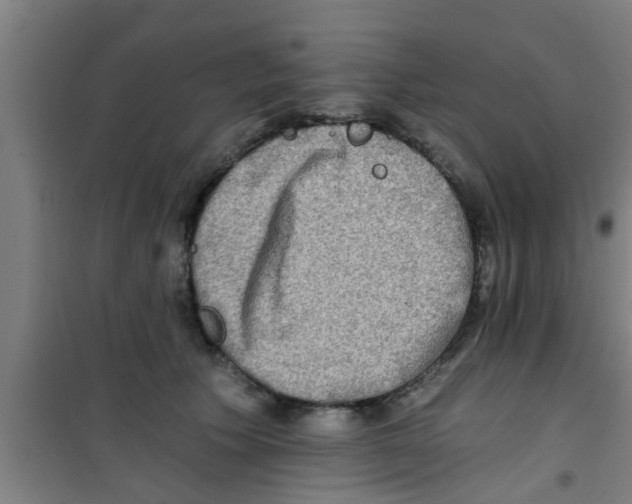 X0000100400609200807032015