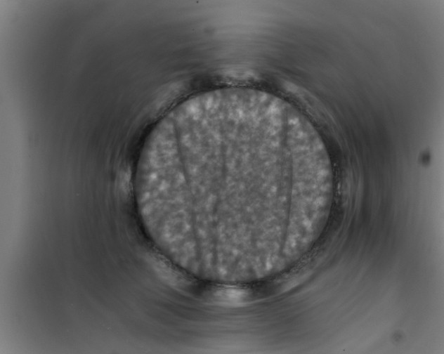 X0000100400610200807032015
