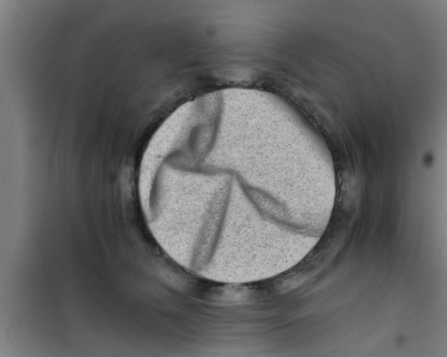 X0000100400612200807032015