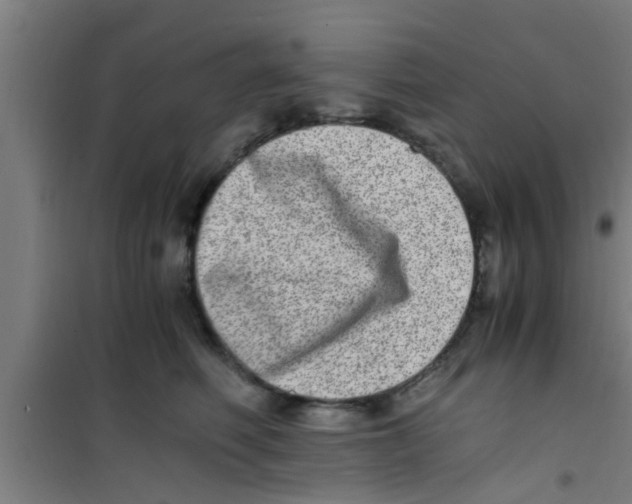 X0000100400614200807032015
