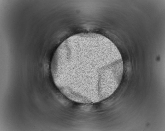 X0000100400615200807032015