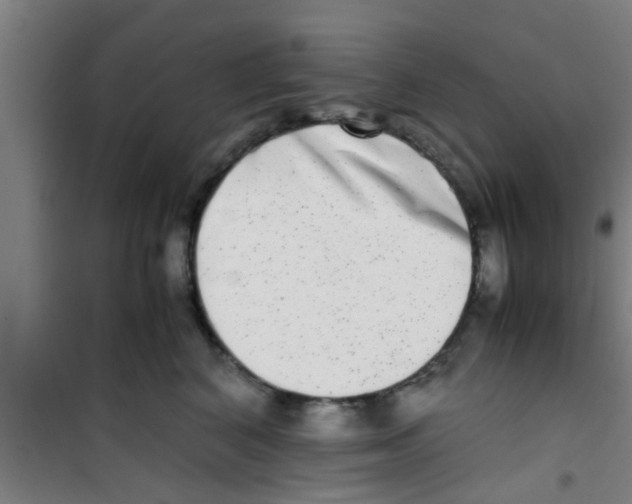 X0000100400616200807032015