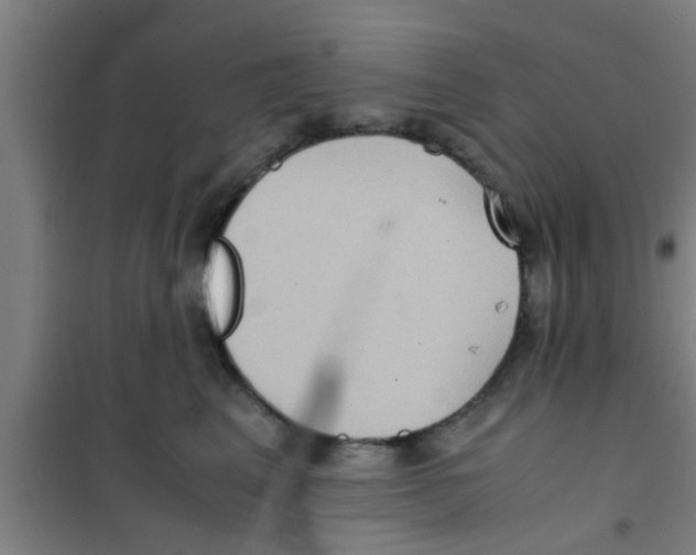 X0000100400617200807032015