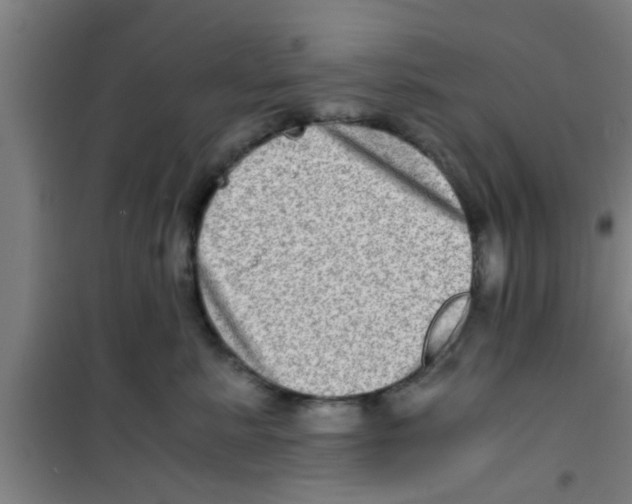 X0000100400619200807032015