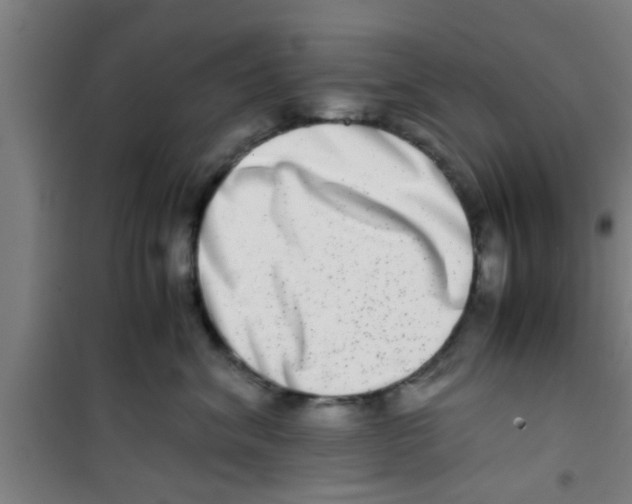 X0000100400620200807032015