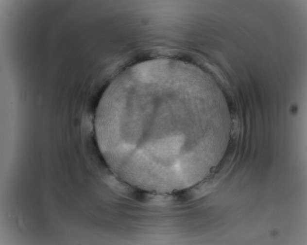 X0000100400621200807032015