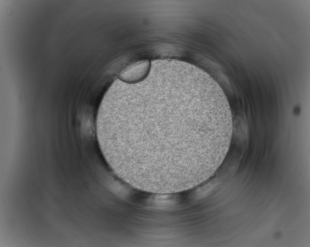 X0000100400622200807032015