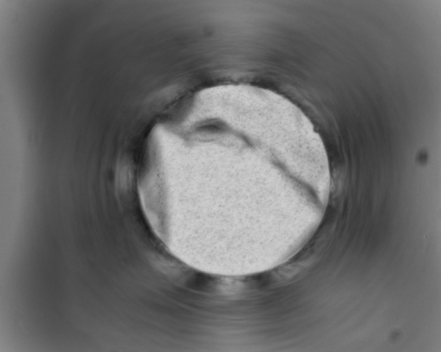 X0000100400623200807032015
