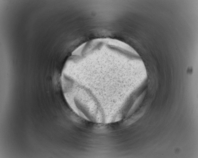 X0000100400624200807032015