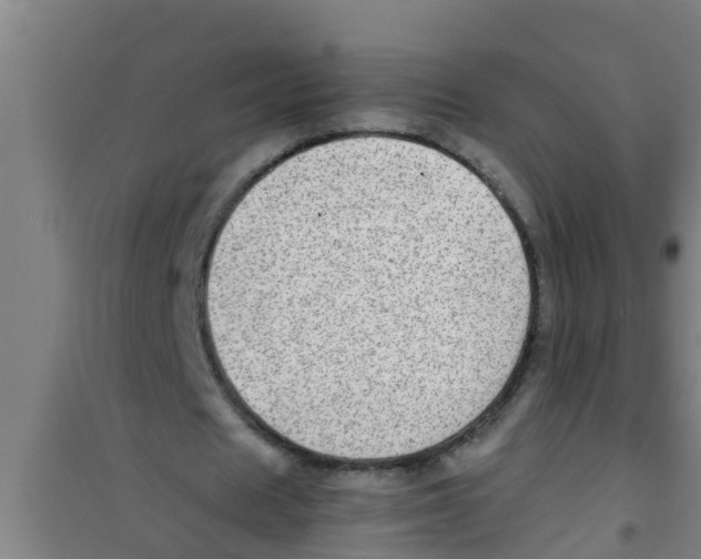 X0000100400625200807032014