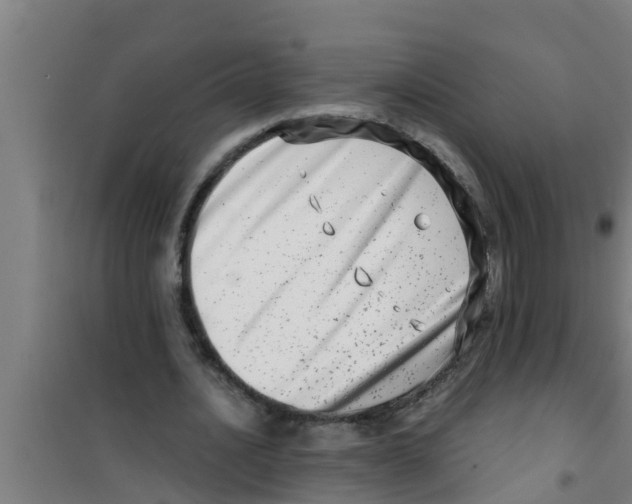 X0000100400628200807032014