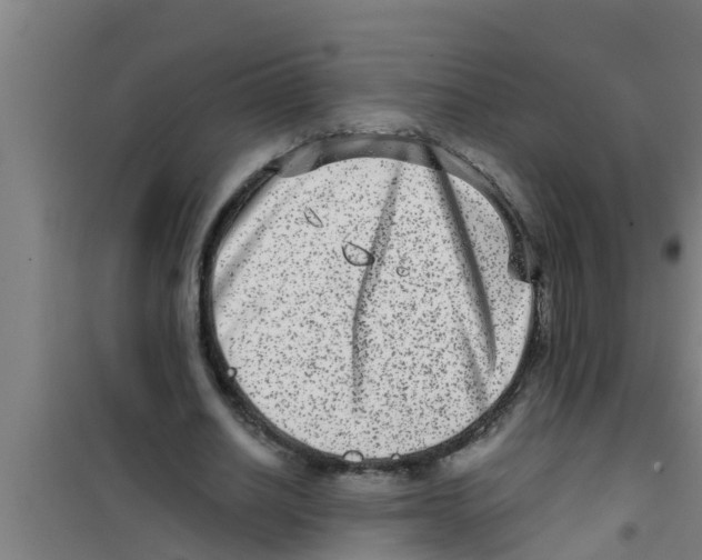X0000100400630200807032014