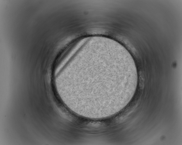 X0000100400631200807032014