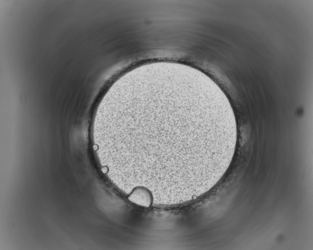 X0000100400632200807032014