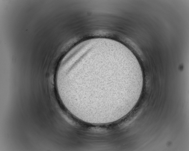 X0000100400633200807032015