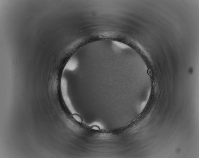 X0000100400637200807032015